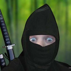 How to be a ninja