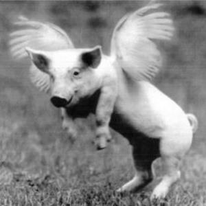 If Pigs Could Fly