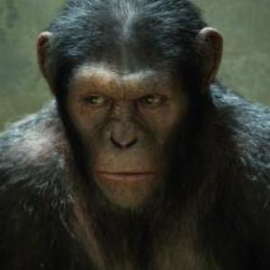 A quick quiz about Planet of the Apes