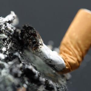 POLL of the DAY (321) : CITY-WIDE TOBACCO BAN?